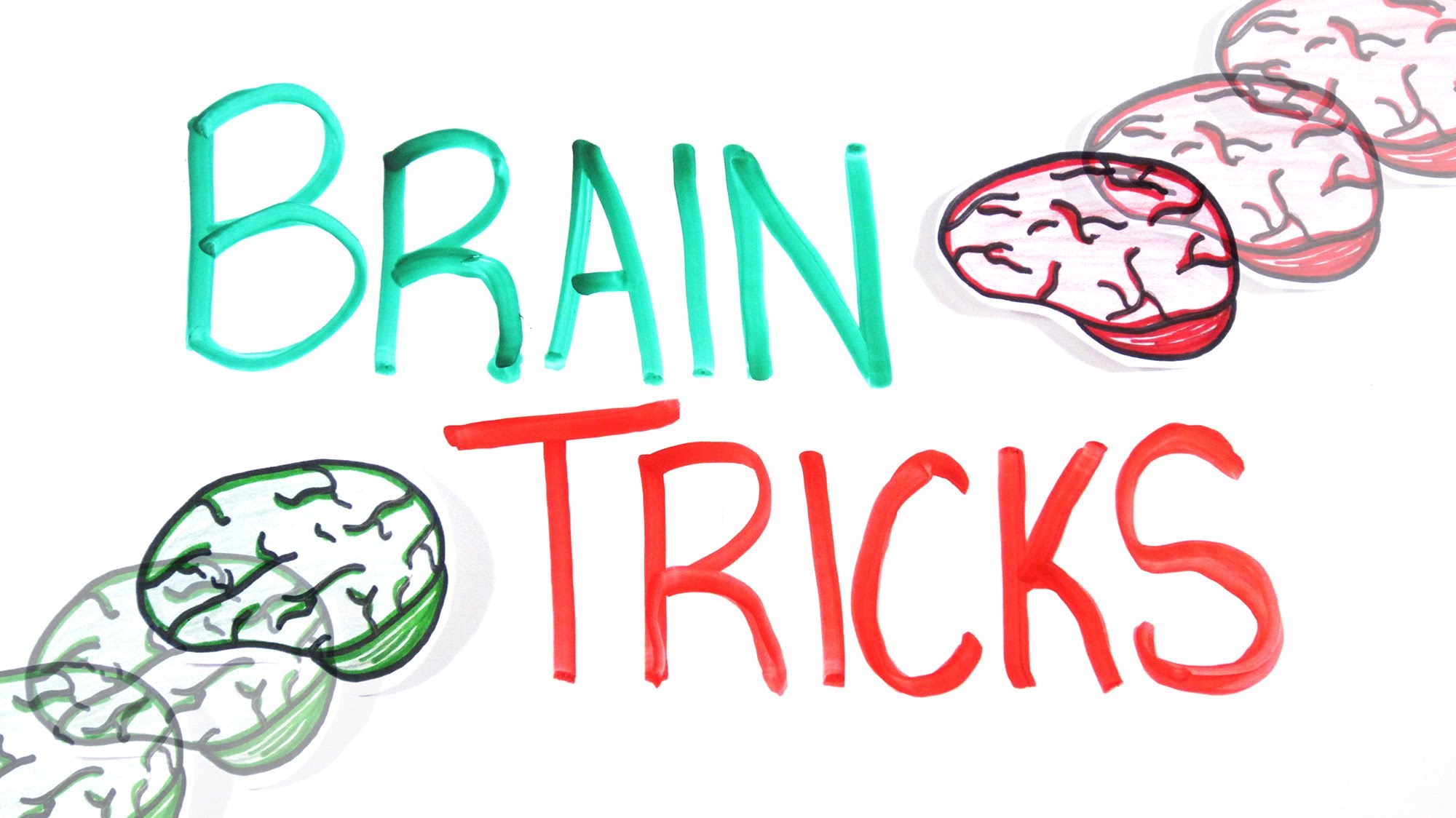 how-your-brain-works-videos-in-levels